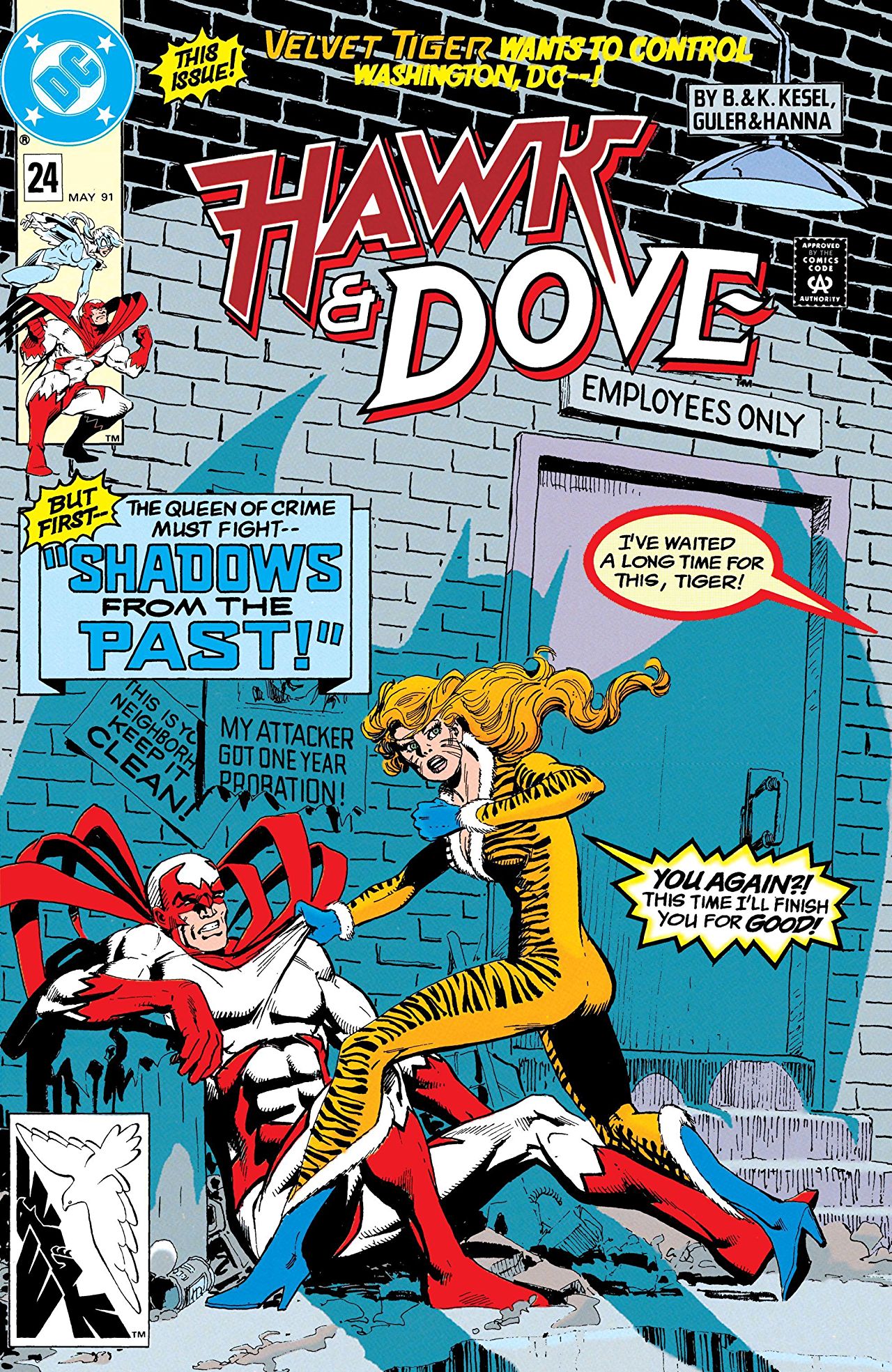 Hawk and Dove (1989) #24 cover