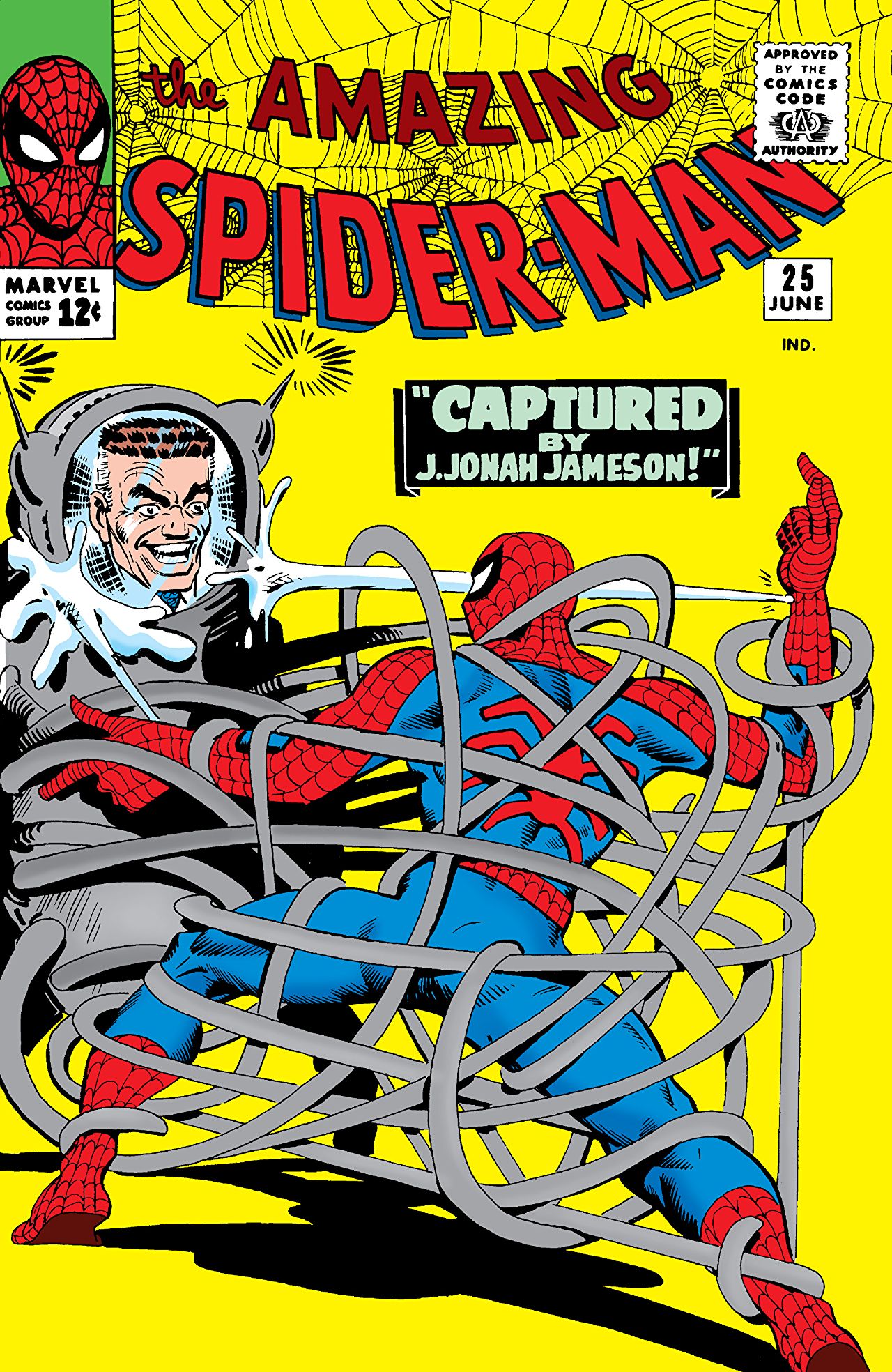 The Amazing Spider-Man (1963) #25