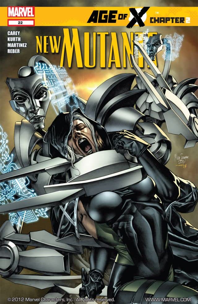 New Mutants (2009) #22 cover