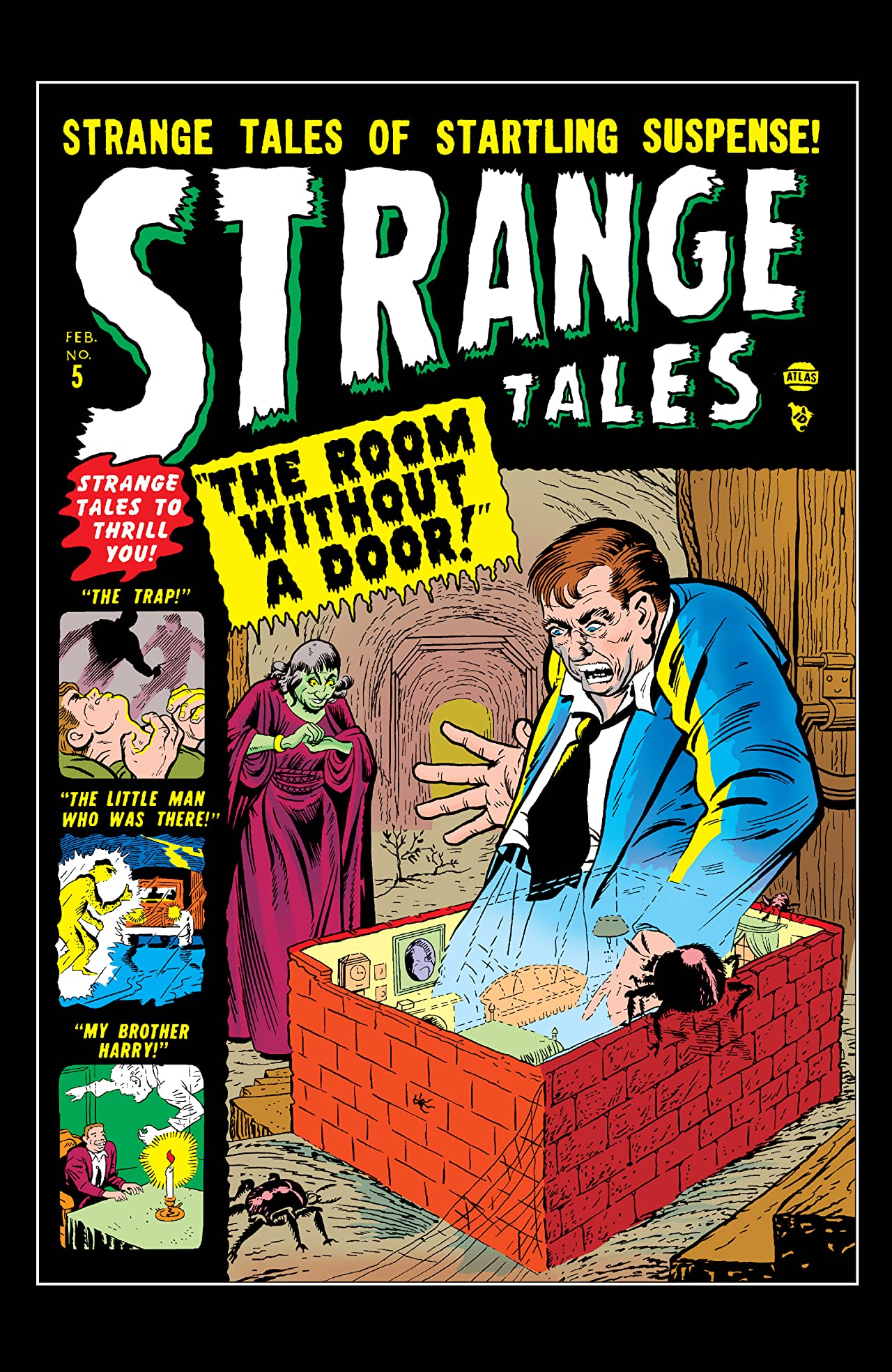 Cover of Strange Tales #5