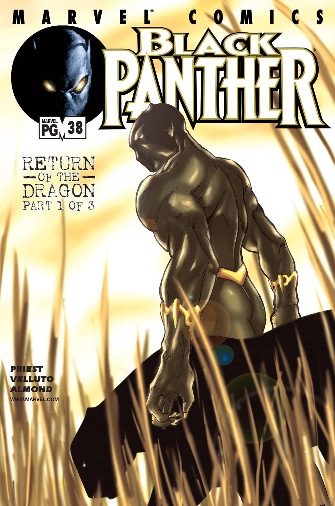 Black Panther (1998) #38 cover