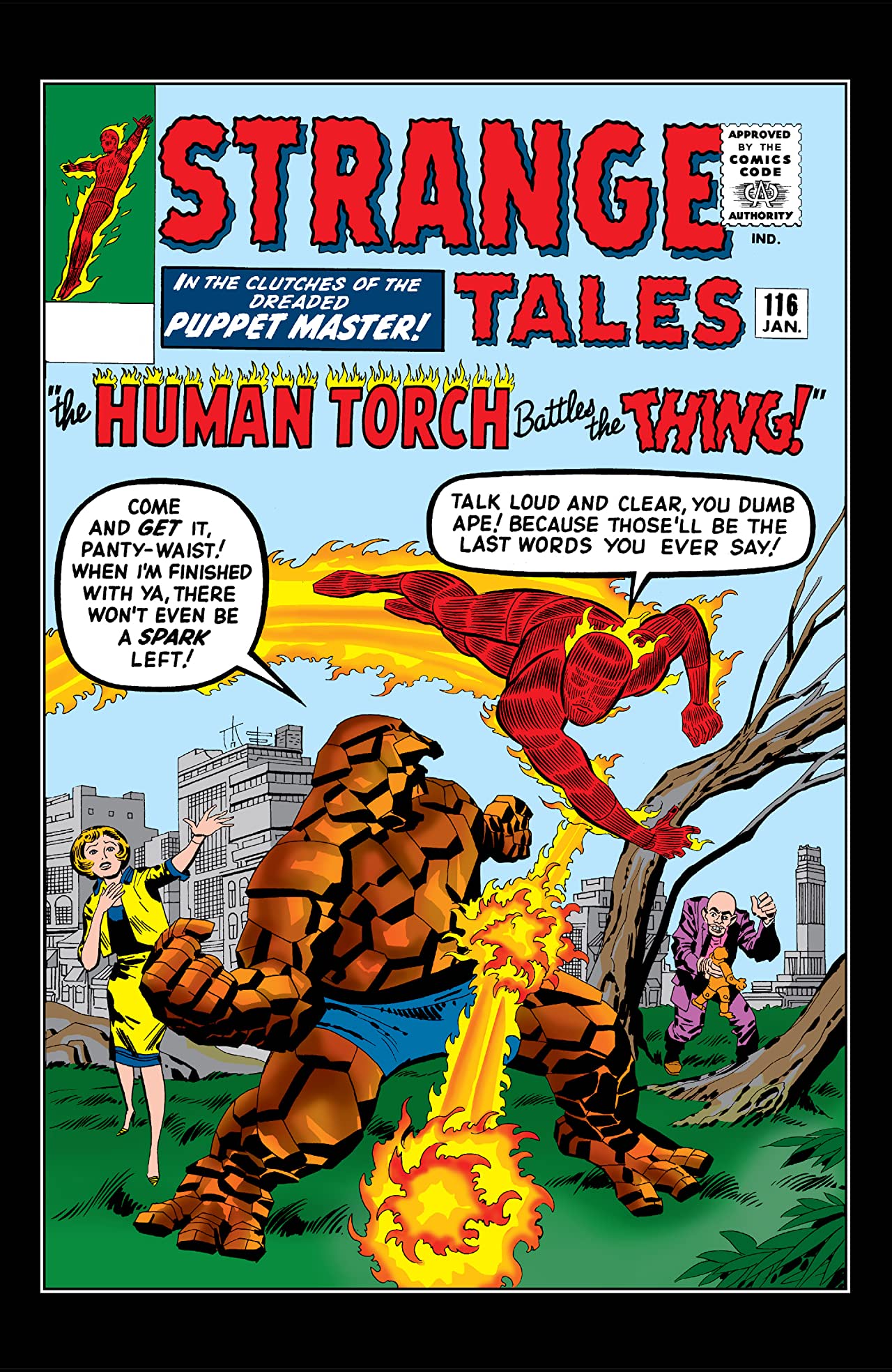 Cover of Strange Tales #116