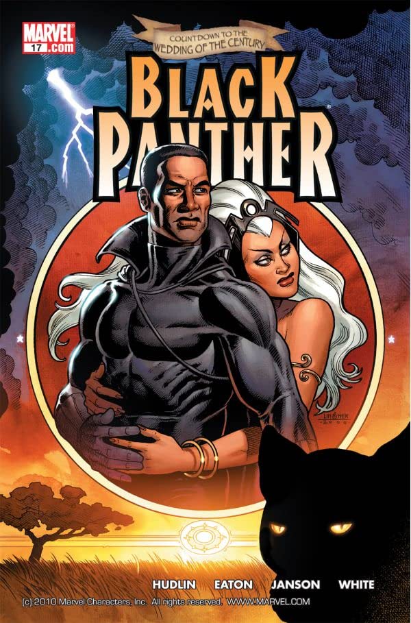 Black Panther (2005) #17