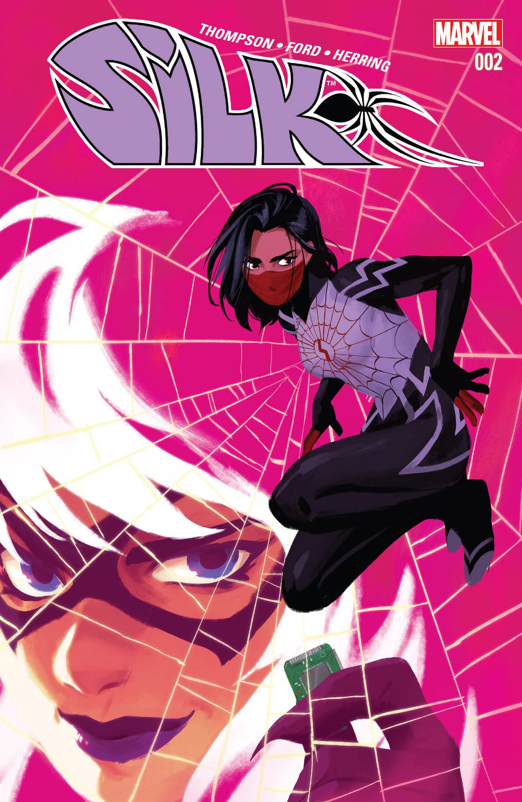 Cover of Silk