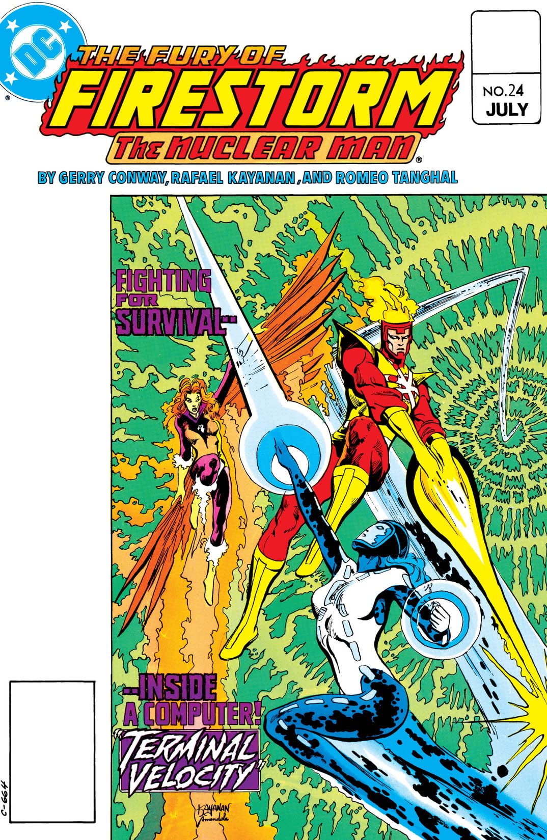 The Fury of Firestorm (1982) #24