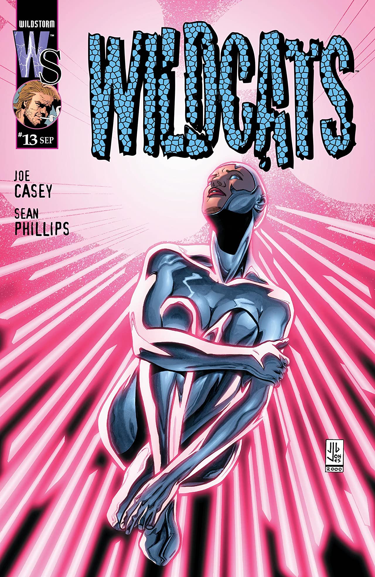 Wildcats (1999) #13 cover