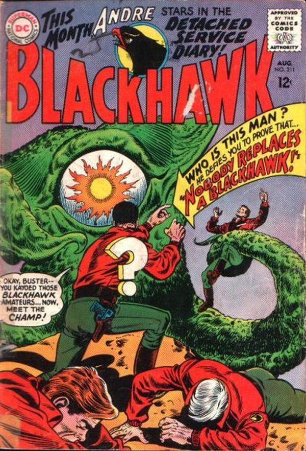 Cover of Blackhawk #211