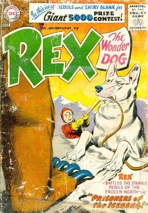 The Adventures of Rex the Wonder Dog #29