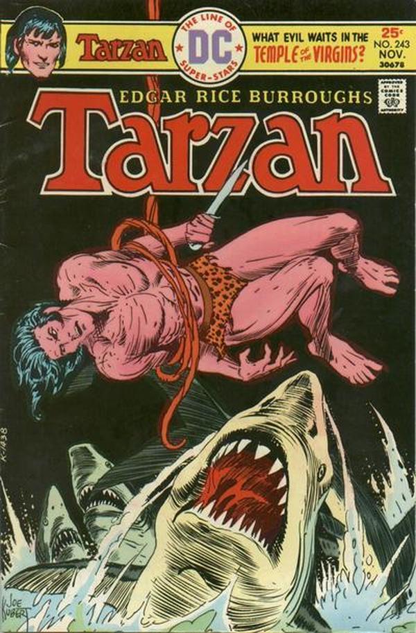 Tarzan (1972) #243 cover