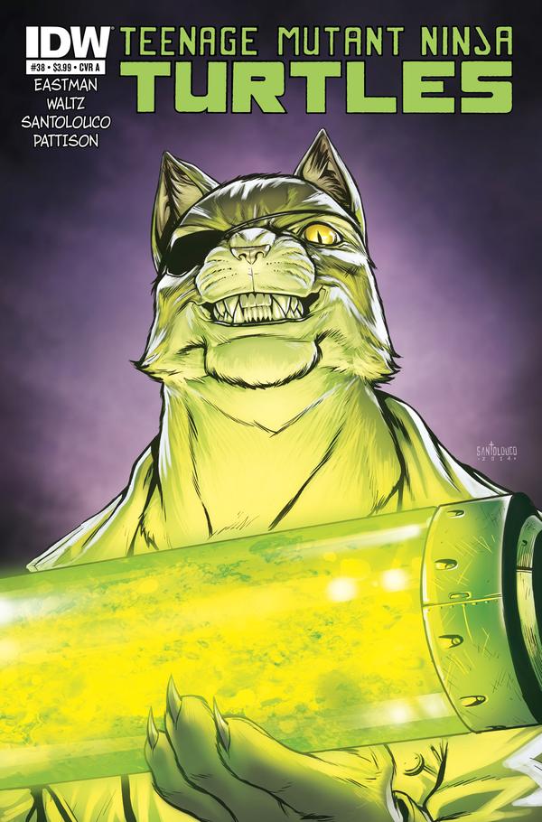 Teenage Mutant Ninja Turtles (2011) #38