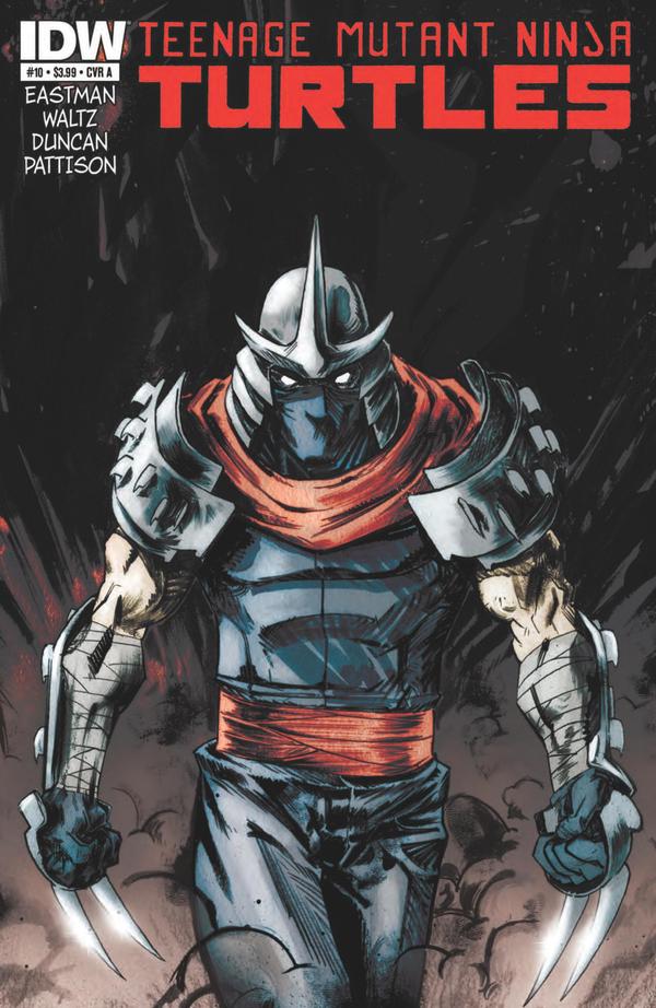 Teenage Mutant Ninja Turtles #10 cover