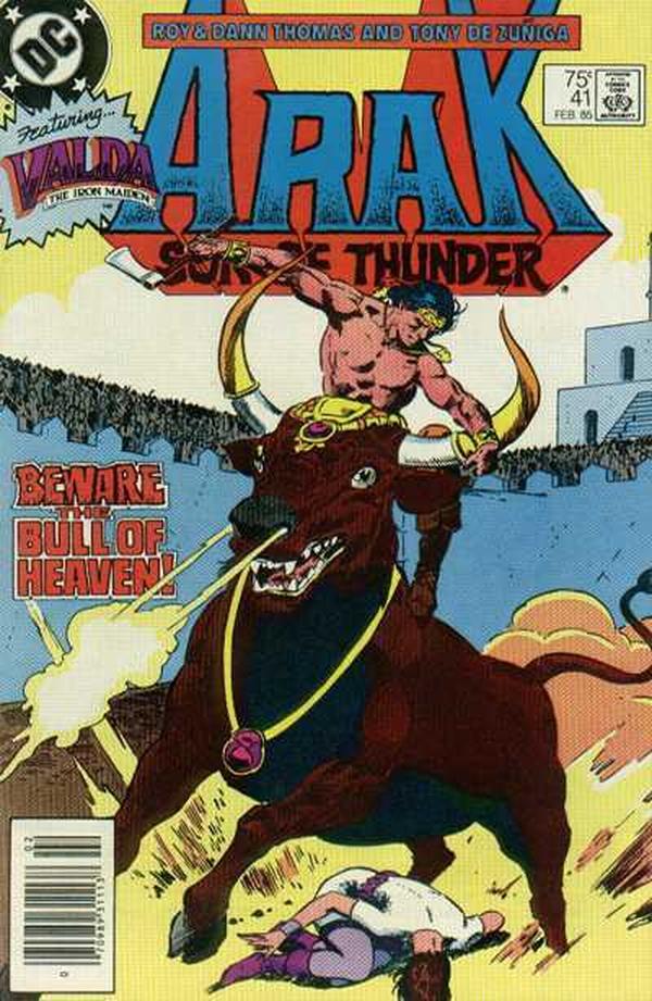 Arak / Son of Thunder (1981) #41 cover