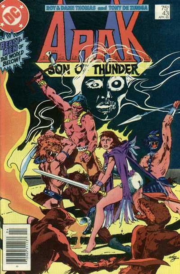 Arak / Son of Thunder (1981) #43 cover