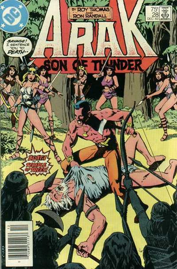 Arak / Son of Thunder (1981) #28 cover