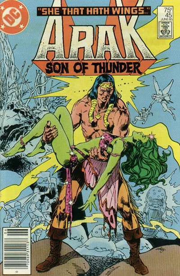 Arak / Son of Thunder (1981) #45 cover