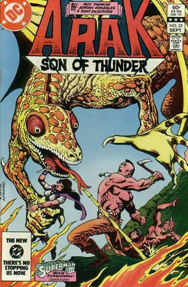 Arak / Son of Thunder (1981) #25 cover