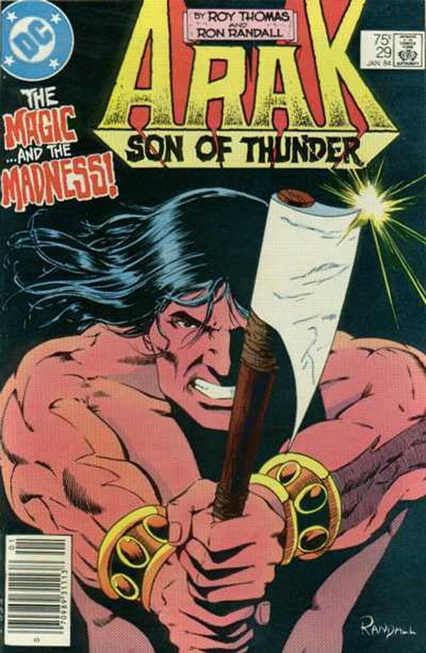 Arak / Son of Thunder (1981) #29 cover
