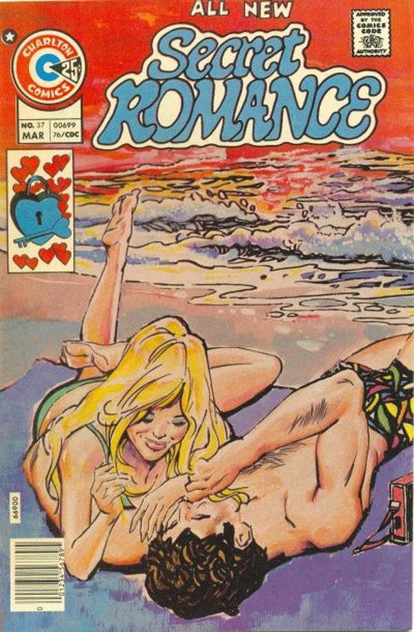 Cover of Secret Romance #37