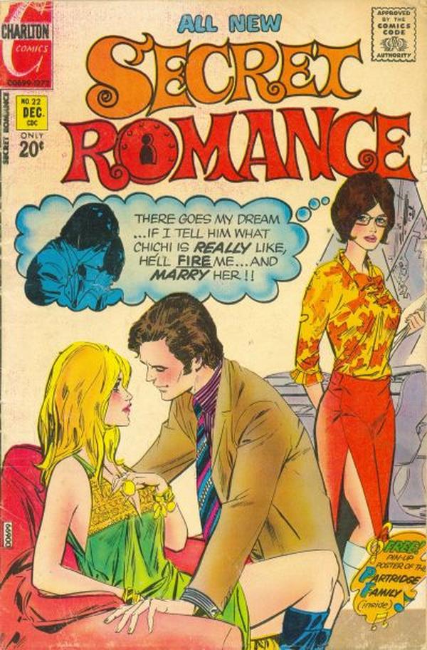 Cover of Secret Romance #22
