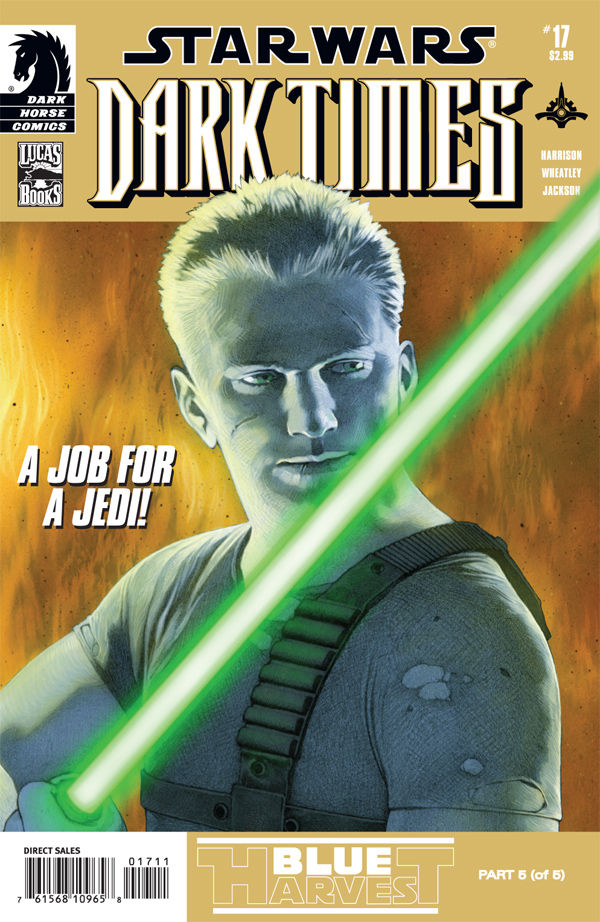 Cover of Star Wars: Dark Times #17