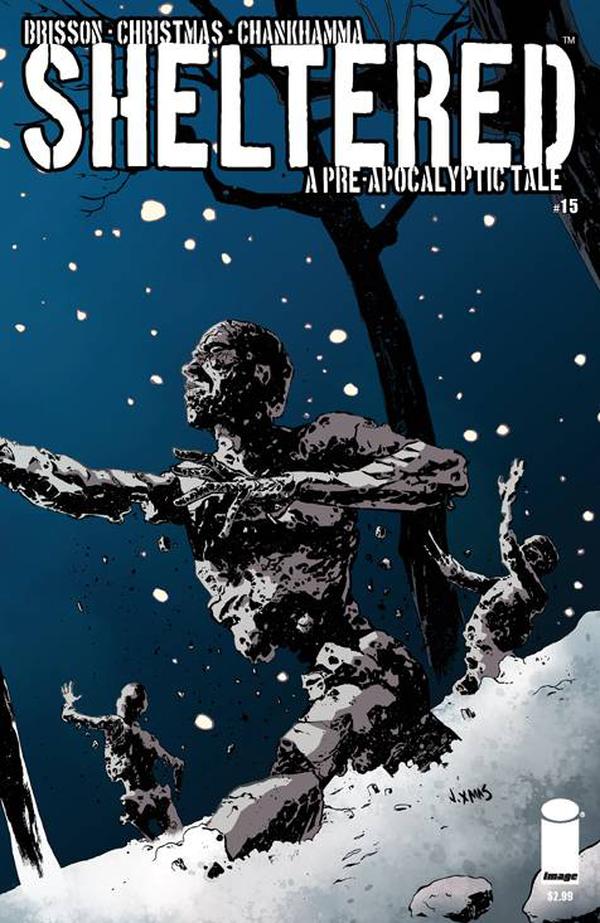 Sheltered (2013) #15 cover