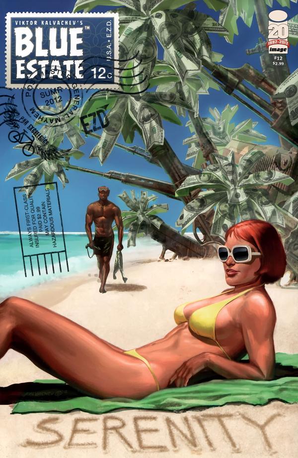 Blue Estate (2011) #12 cover