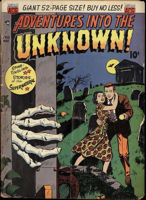 Cover of Adventures into the Unknown #19