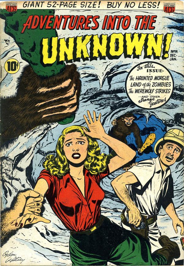 Cover of Adventures into the Unknown #14