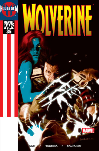 Cover of Wolverine - Vol. 3