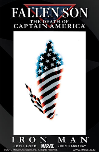 Cover of Fallen Son: The Death of Captain America #5