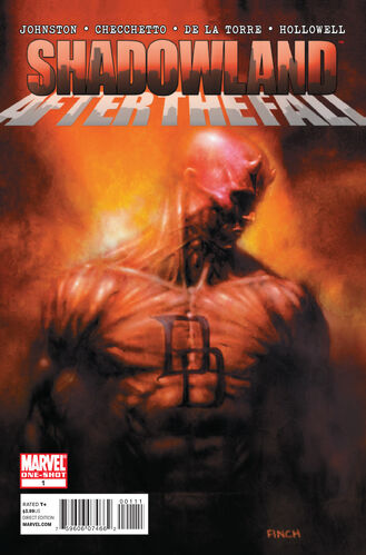 Shadowland: After the Fall (2011) #1