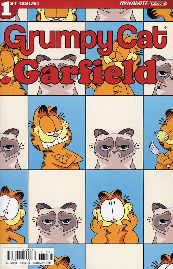 Grumpy Cat / Garfield