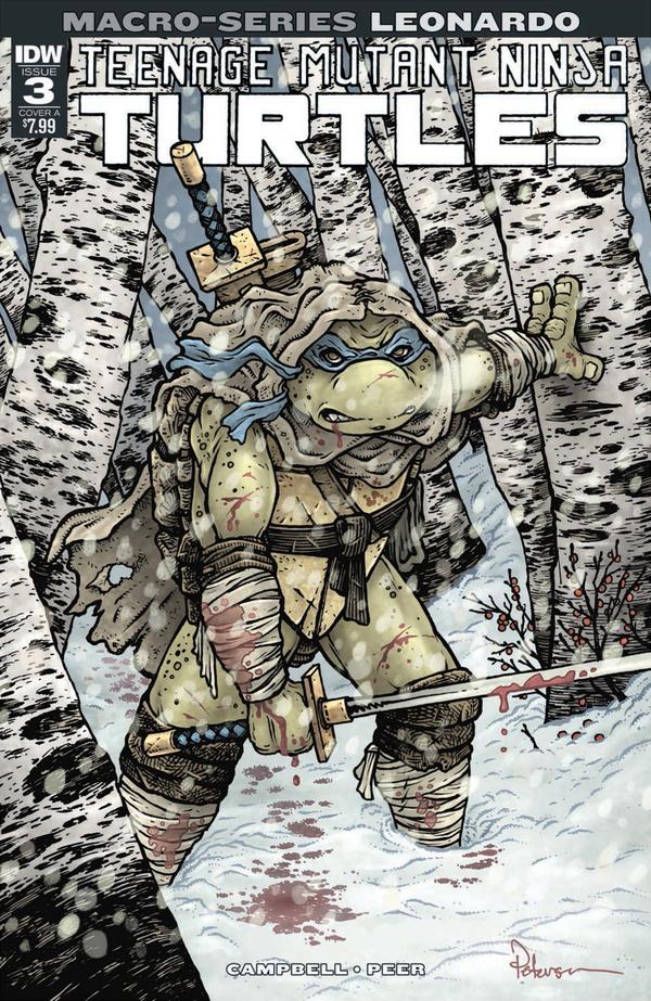Teenage Mutant Ninja Turtles Macro-Series