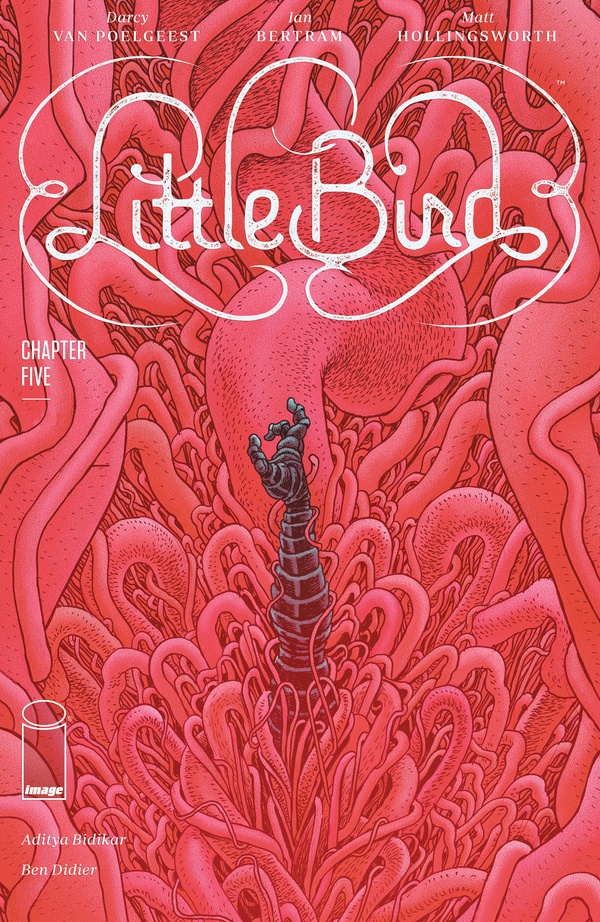 Little Bird