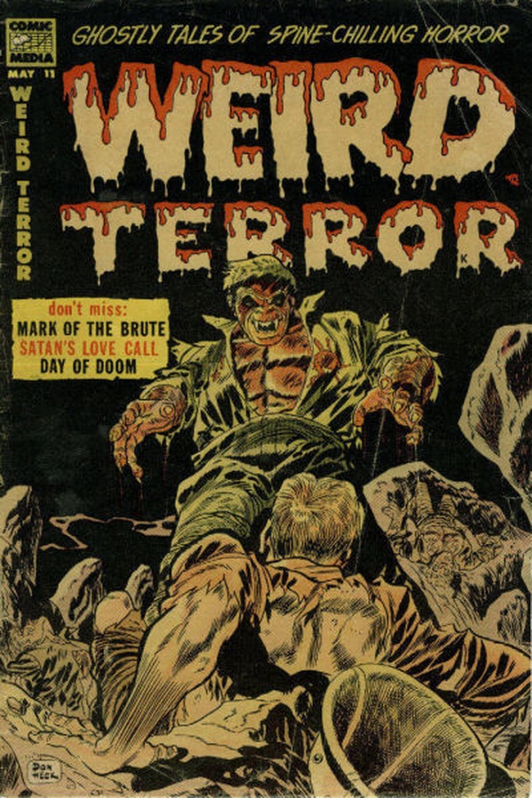 Cover of Weird Terror #11