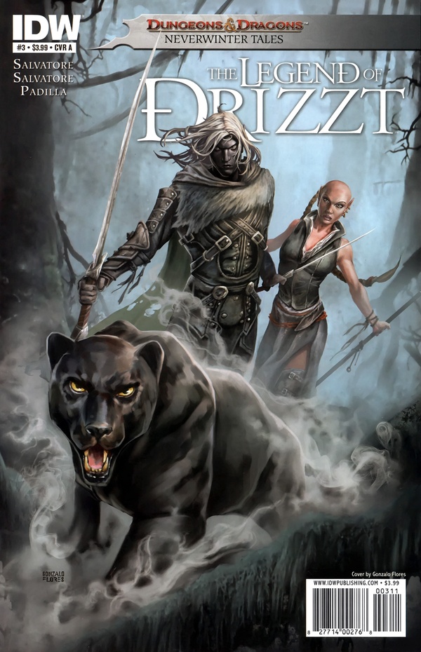 Dungeons & Dragons: The Legend of Drizzt: Neverwinter Tales (2011) #3 cover