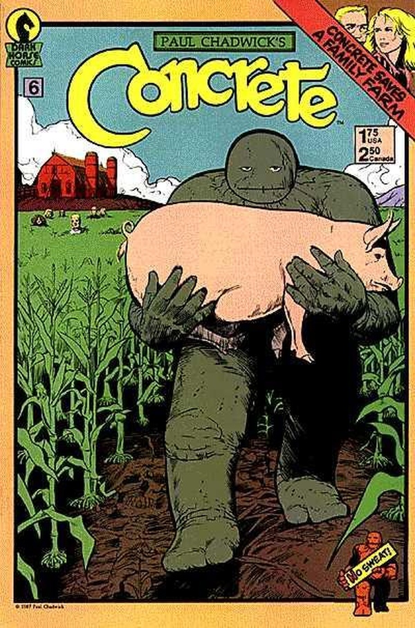 Cover of Concrete #6