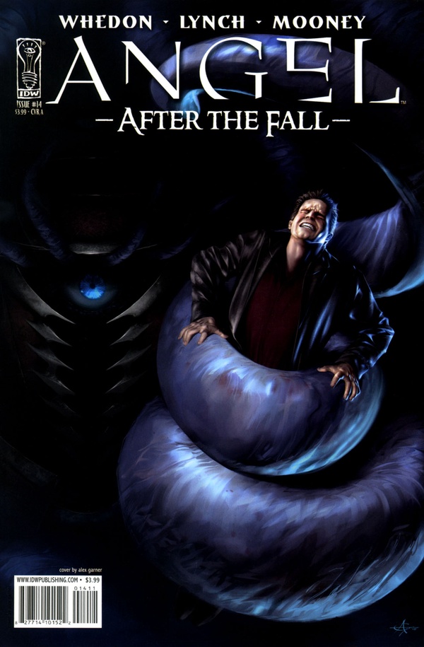 Angel: After the Fall (2007) #14 cover
