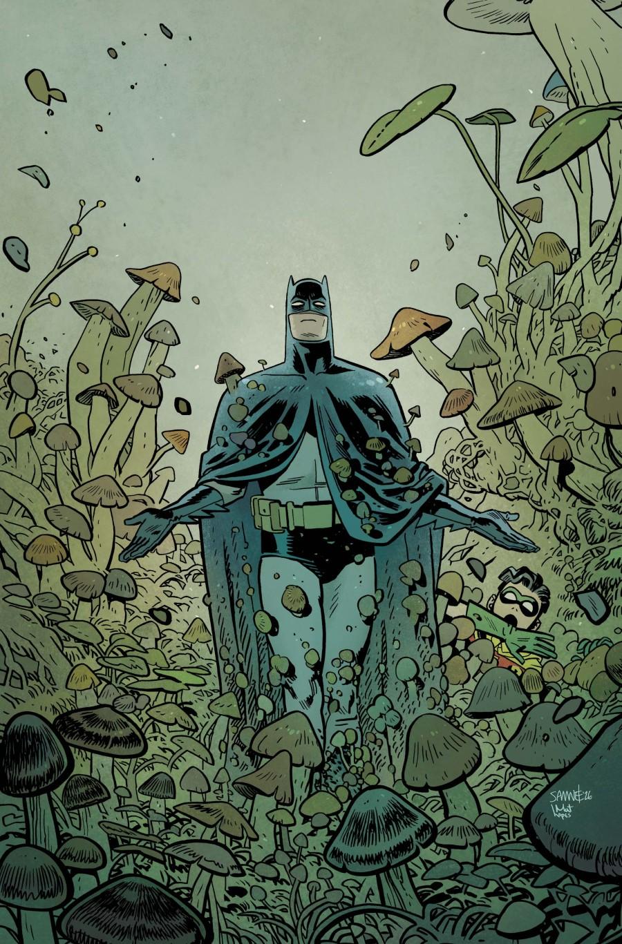 Batman & Robin: Year One – Dynamic Duos