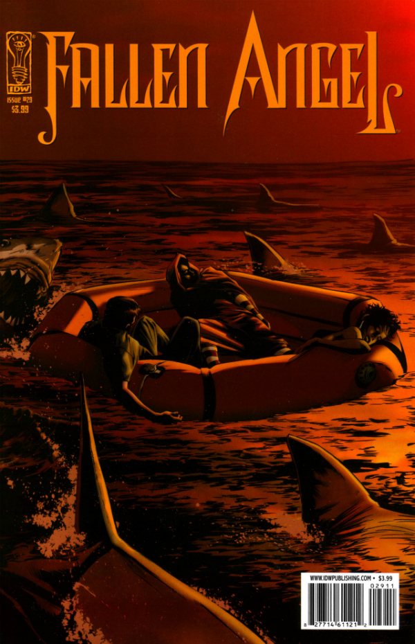 Fallen Angel (2005) #29 cover