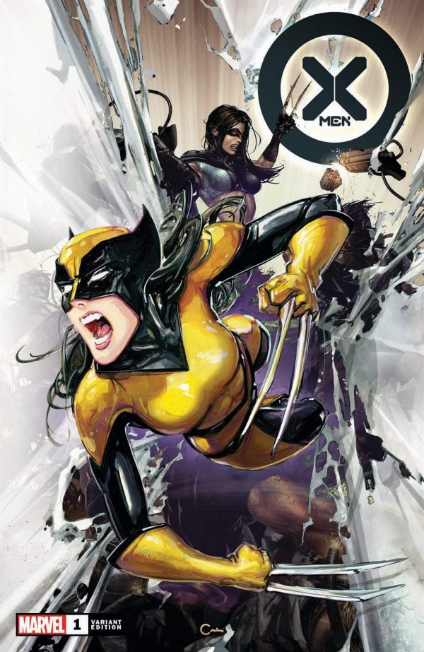 Variant Cover cover