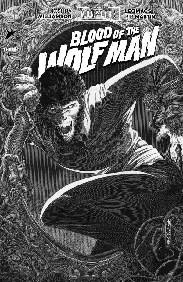 Cover D 1:25 Evan Cagle Black & White Variant cover