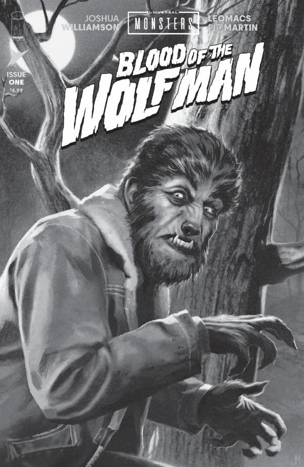 Cover D 1:25 Joshua Middleton Black & White Variant cover