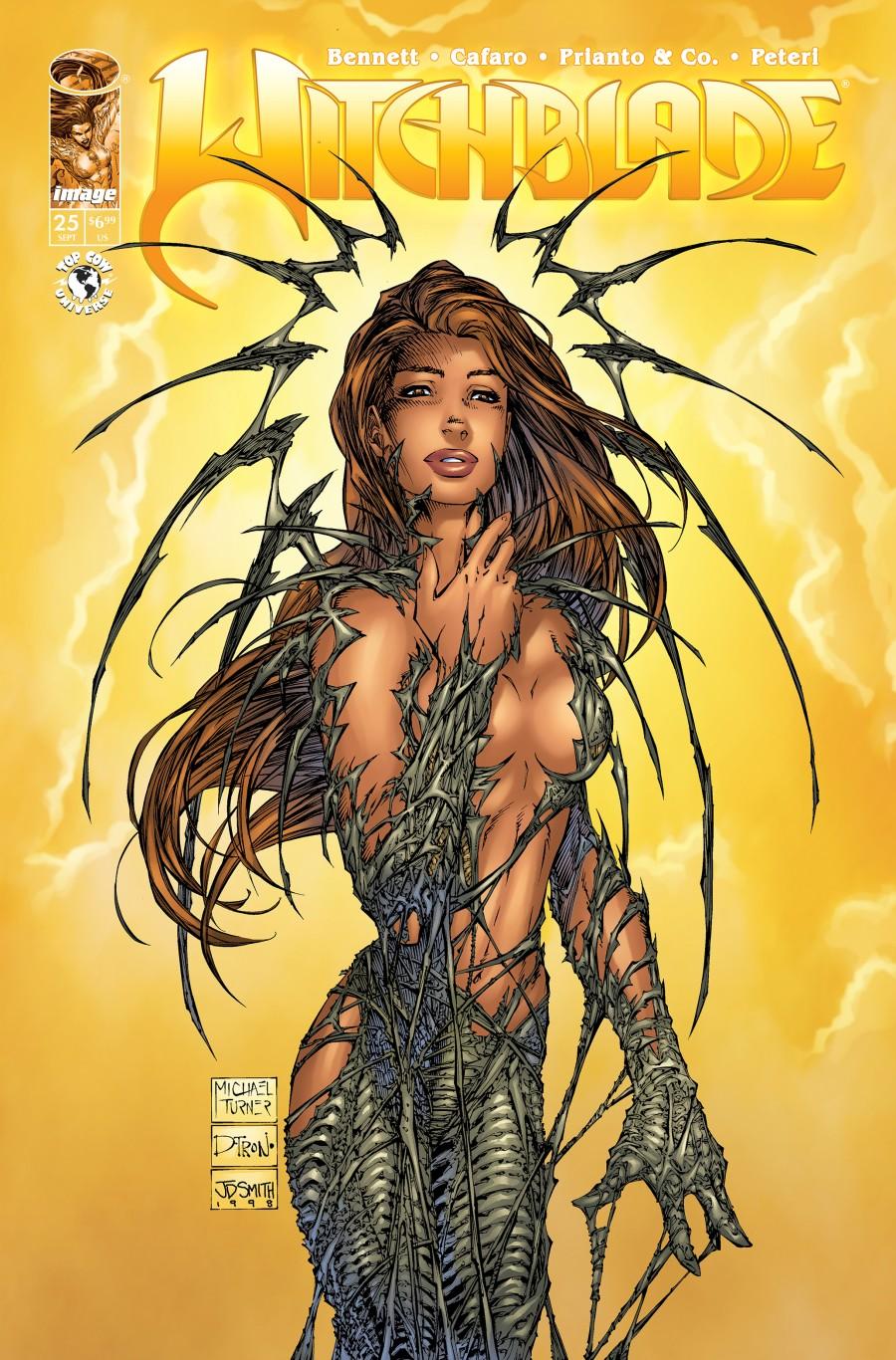 Cover D 1:50 Michael Turner Spot Foil Variant cover