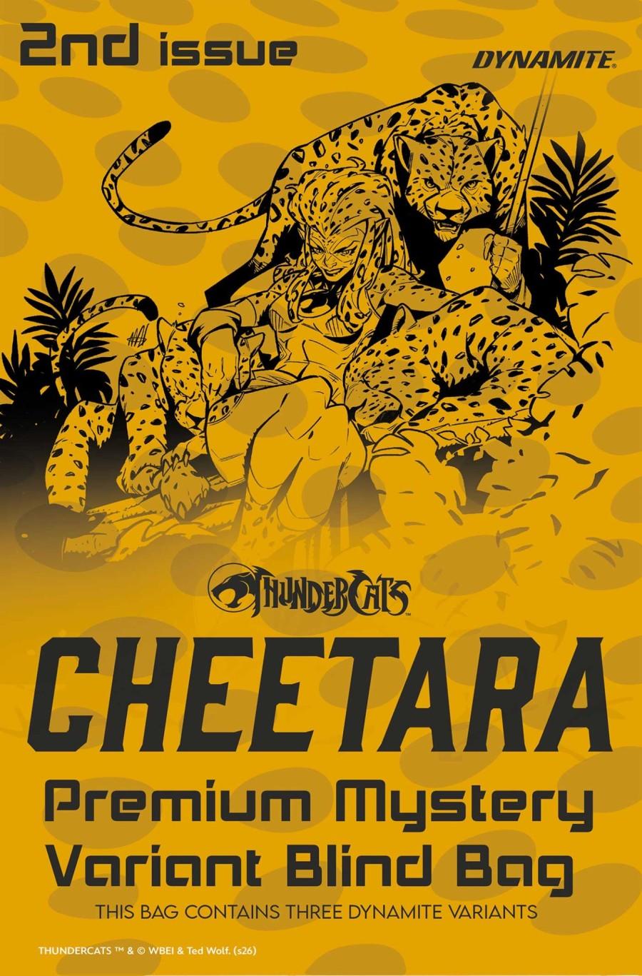 ThunderCats: Cheetara #2, Cover H Premium Mystery Blind Bag Variant