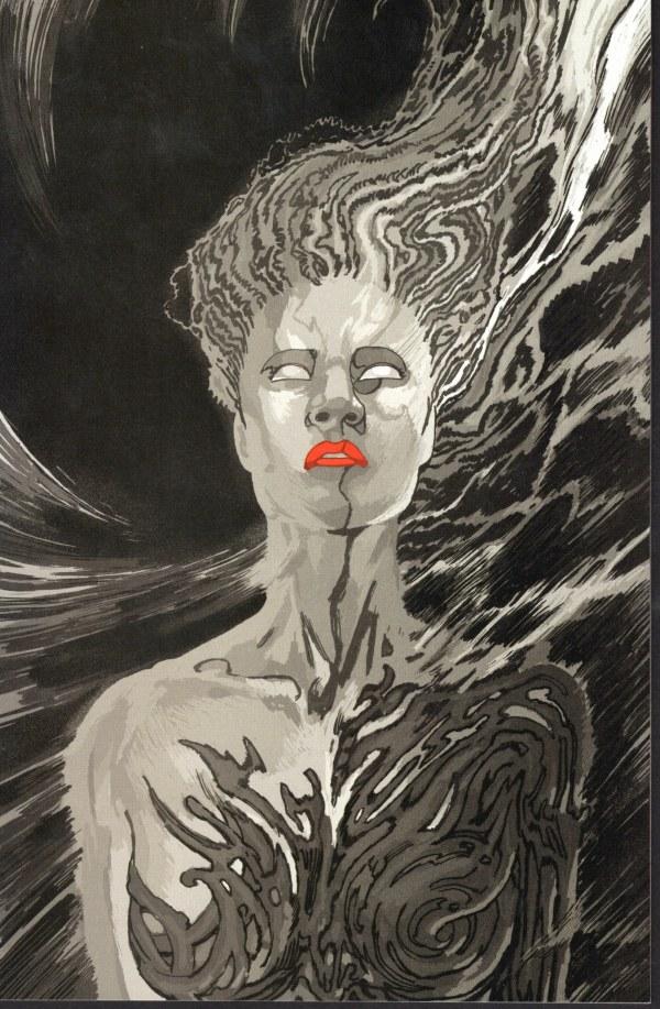 Cover E 1:30 Josh Hixson Black & White Virgin Variant cover