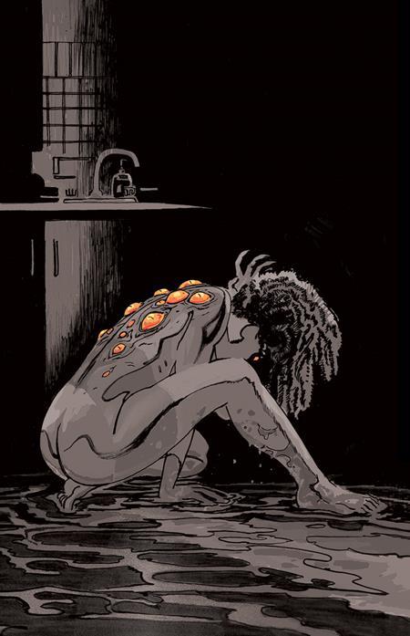 Cover E 1:30 Josh Hixson Black & White Virgin Variant cover